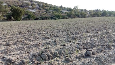 Photos of La Empedrada