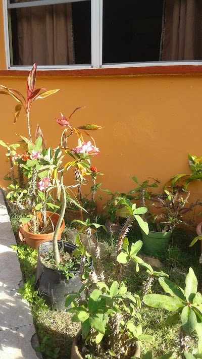 Photos of Joe's Hideout