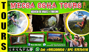 MECSA OSHA TOURS 0