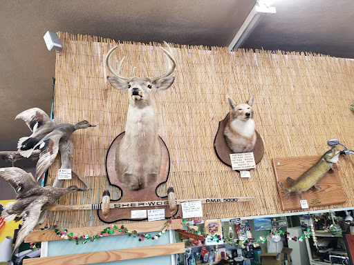 Thrifty Assets resale Gallery - United States