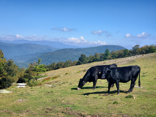 Asheville Wellness Tours - Thumbnail