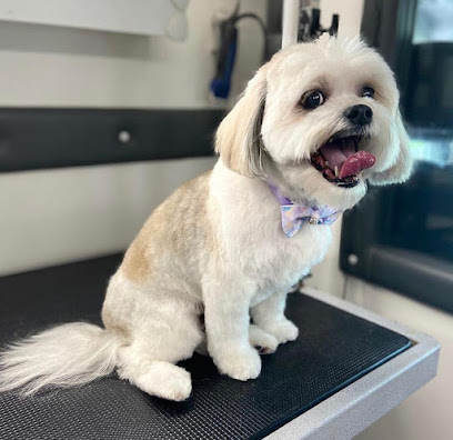 Loyal Friend Dog Grooming