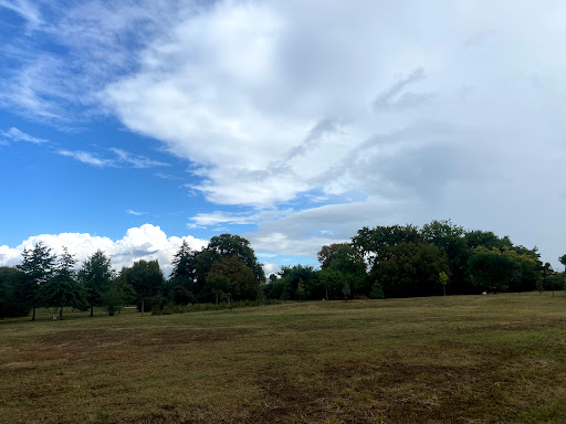 Gramond Woods - Thumbnail