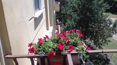 Photos of Immobiliare di Benevento