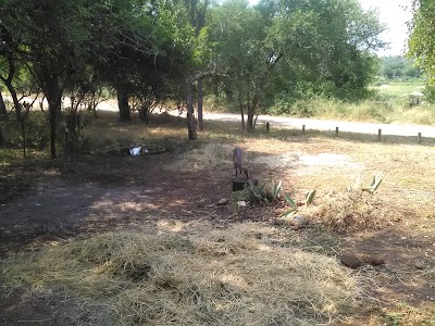 Photos of Little Kruger Lodge