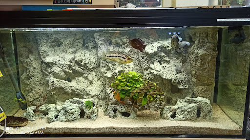 Aquarium Gubin - Thumbnail