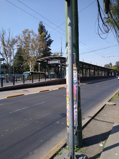 Metrobus Gran Canal Linea 6