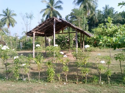 Photos of Nila Vila