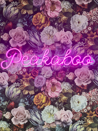 Peakaboo - Visual