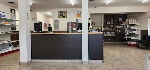 Apollo Veterinary Hospital