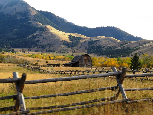 Suzy Gilbert Barnett, Yellowstone Real Estate Group - Thumbnail