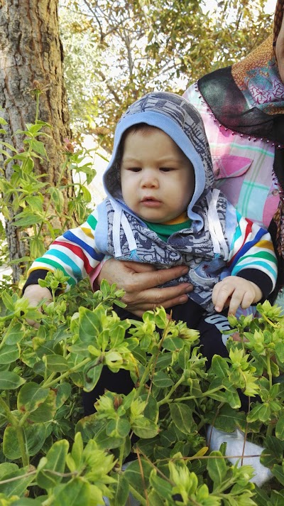 Hamıneli Çocuk Parkı