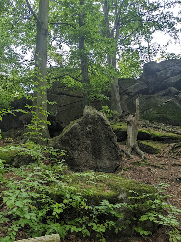 Zamek Chojnik - ruiny - Jelenia Góra