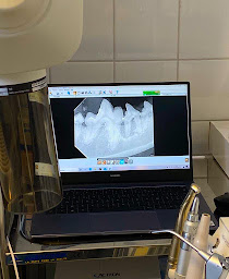 Photo n°44 de Clinique vétérinaire Alliance Vet à Le Plessis-Trévise (Vétérinaire)