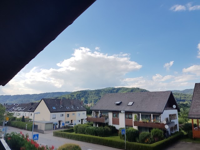 Hotel Schwärs Löwen