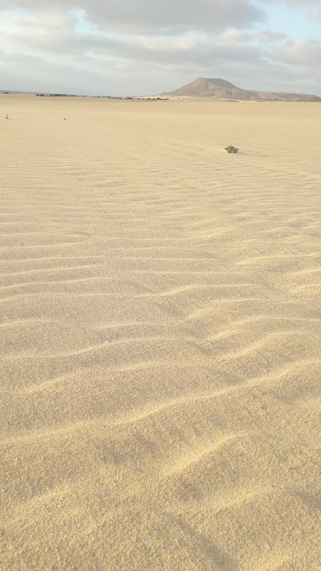 Dunas de Corralejo