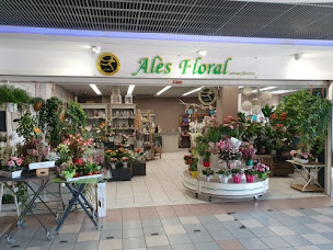 Photo n°11 de Centre Commercial Rocade Sud à Alès (Centre commercial)