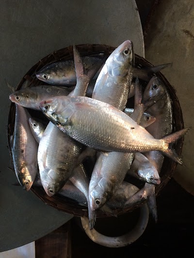 Photos of Charbhadrasan Fish Market