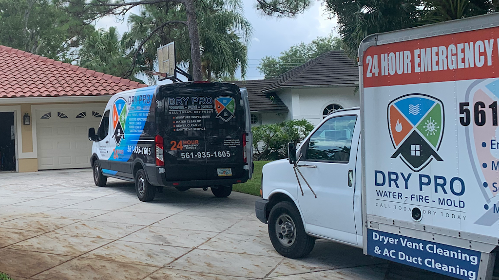 Dry Pro Water Fire Mold Inc photo