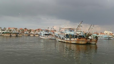 Photos of Alpremo | Fish City