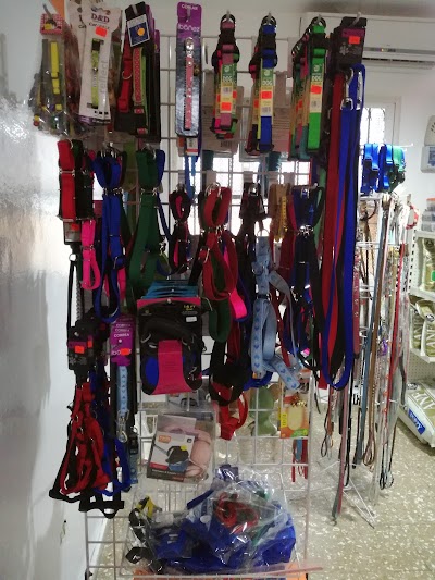 Photos of Pet Veterinary Medicine Clinic