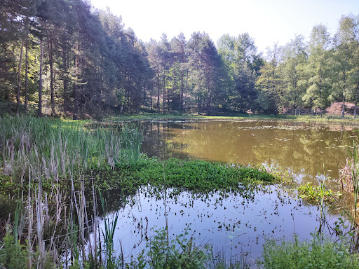 Regione Lago - Thumbnail