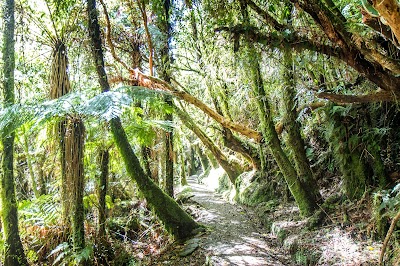 photo of Monro Beach Walk