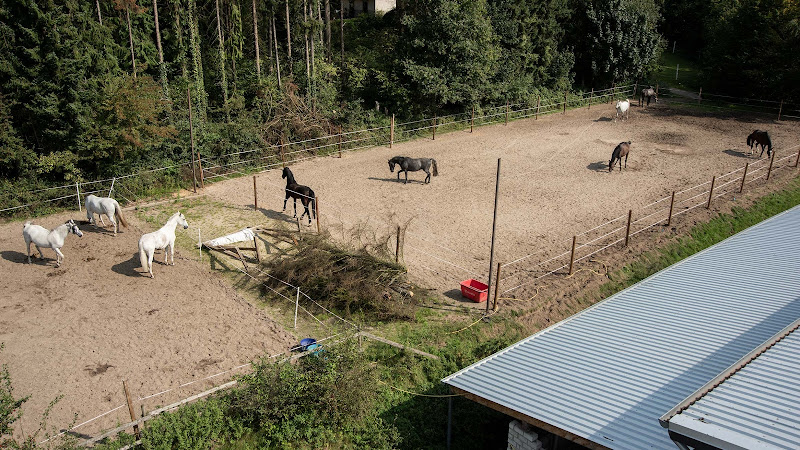 Reitbetrieb Waterboer photo