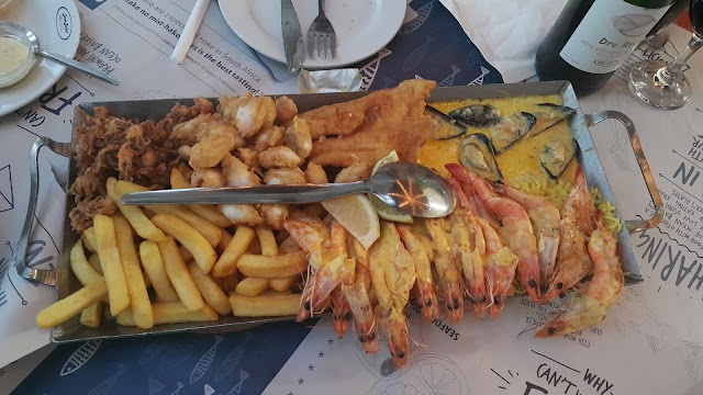 Ocean Basket