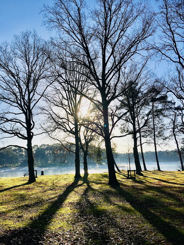 Henschotermeer