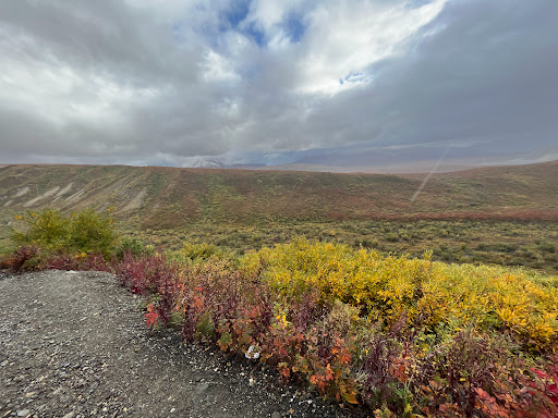 Denali Tundra Tours - Thumbnail