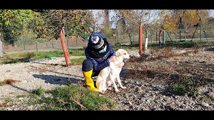 Canile di Lodi - A.DI.CA. Associazione per la Difesa del Cane - ODV
