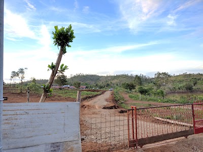Photos of Kebun Kurma Aceh