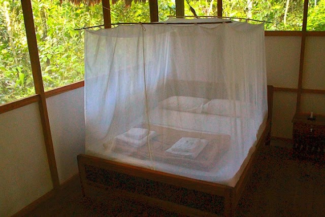Madidi Jungle Ecolodge