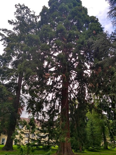 Photos of University of Hohenheim