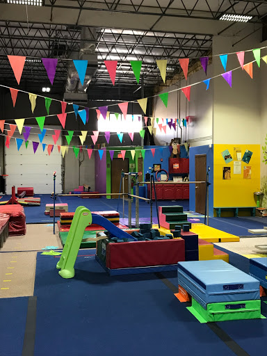 Mega Gymnastics - Visual