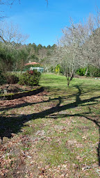 Photo n°14 de Martine Branger Immobilier à Messanges (Conseil en investissement)