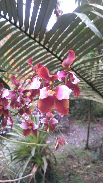 Photos of EDENGARDEN