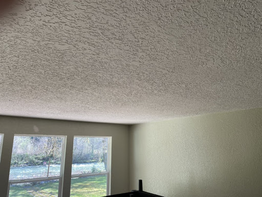 Master Drywall Finishers - Visual