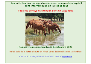 Photo n°4 de Centre Équestre & Poney Club d’Ezanville à Ézanville (Club d'équitation)