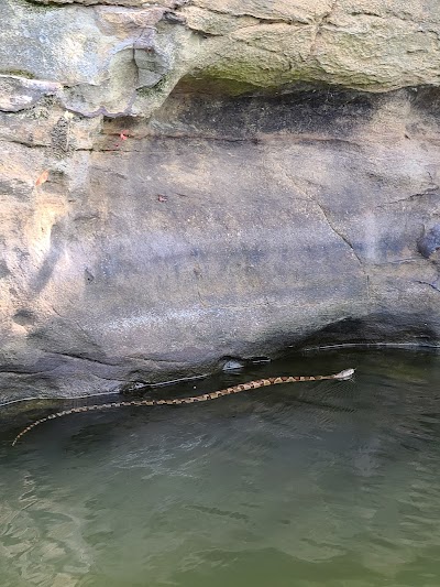 Cedar Lake Bluffs