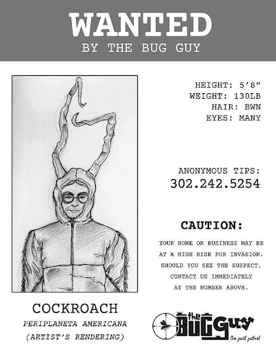 The Bug Guy