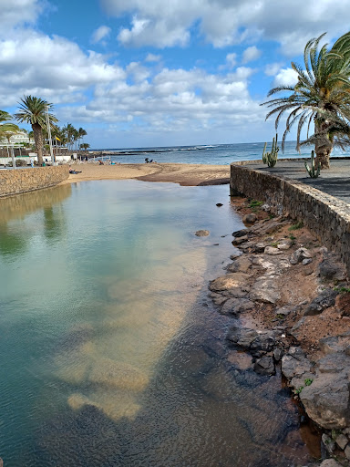 Apapar - Visual