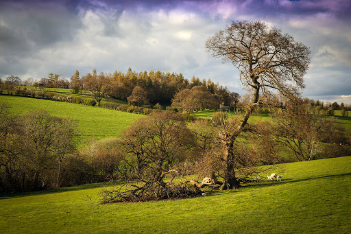 Flounders' Folly Gallery - United Kingdom