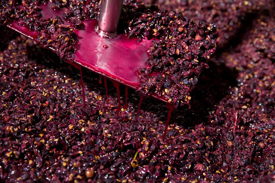 John Kosovich Wines by null