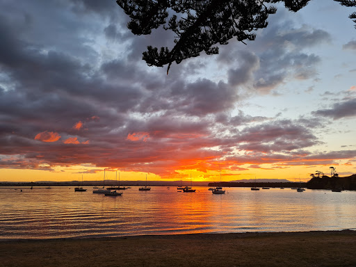 Pilot Bay Boardwalk Gallery - New Zealand
