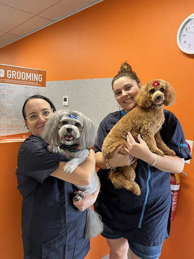 AF1QipPdvbAw90RKjjMA krxze6if2jUY7RYK7m5pCZR=s680 w680 h510