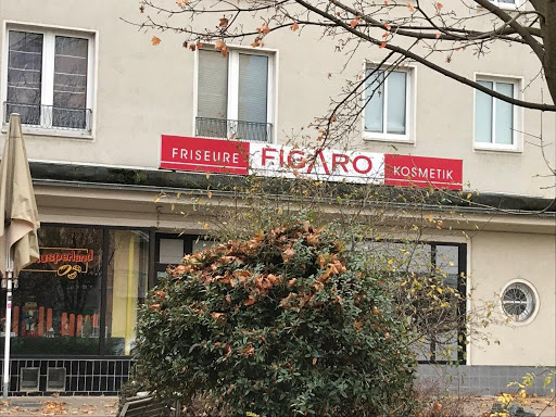 Figaro Dresden - hair salon - Thumbnail