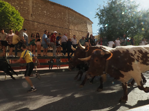 Plaza de Toros de Calasparra. - Thumbnail
