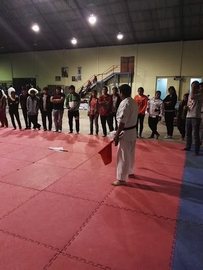 Photos of Dojo de Judo Polideportivo Sarco